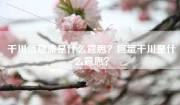 千川信息流是什么意思？巨量千川是什么意思？