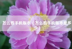 怎么看手机版本（怎么看手机版本是多少）
