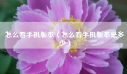 怎么看手机版本（怎么看手机版本是多少）