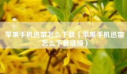 苹果手机迅雷怎么下载（苹果手机迅雷怎么下载链接）