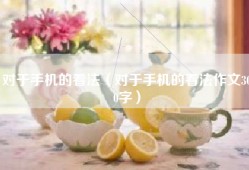 对于手机的看法（对于手机的看法作文300字）