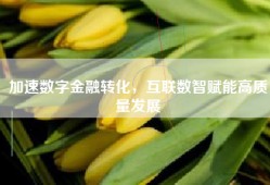 加速数字金融转化，互联数智赋能高质量发展