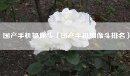 国产手机摄像头（国产手机摄像头排名）