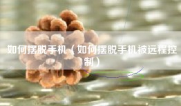 如何摆脱手机（如何摆脱手机被远程控制）