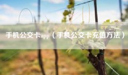 手机公交卡app（手机公交卡充值方法）