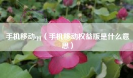 手机移动qq（手机移动权益版是什么意思）