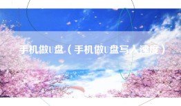 手机做U盘（手机做U盘写入速度）