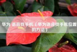 华为 语音找手机（华为语音找手机位置的方法）