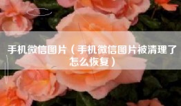 手机微信图片（手机微信图片被清理了怎么恢复）