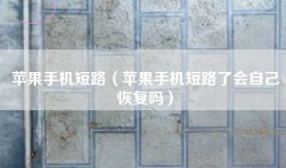 苹果手机短路（苹果手机短路了会自己恢复吗）