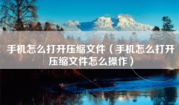 手机怎么打开压缩文件（手机怎么打开压缩文件怎么操作）