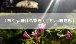 手机的cpu是什么意思（手机cpu啥意思）