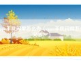 oppo手机闪屏怎么办（oppo手机闪屏怎么回事？）