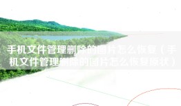 手机文件管理删除的图片怎么恢复（手机文件管理删除的图片怎么恢复原状）
