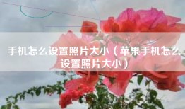 手机怎么设置照片大小（苹果手机怎么设置照片大小）