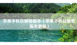 苹果手机在哪看版本（苹果手机在哪看版本更新）