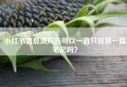 小红书信息流广告可以一直只投放一篇笔记吗？