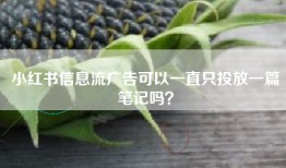 小红书信息流广告可以一直只投放一篇笔记吗？