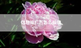 信息流广告怎么投放