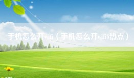 手机怎么开wifi（手机怎么开wifi6热点）
