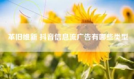 革旧维新 抖音信息流广告有哪些类型