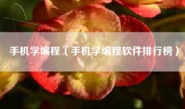 手机学编程（手机学编程软件排行榜）