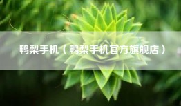 鸭梨手机（鸭梨手机官方旗舰店）