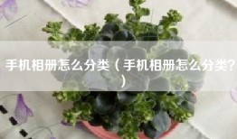 手机相册怎么分类（手机相册怎么分类？）