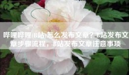 哔哩哔哩(B站)怎么发布文章？B站发布文章步骤流程，B站发布文章注意事项