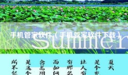 手机管家软件（手机管家软件下载）