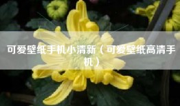 可爱壁纸手机小清新（可爱壁纸高清手机）