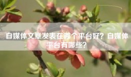 自媒体文章发表在哪个平台好？自媒体平台有哪些？