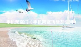 手机防盗门（手机防盗功能怎么用）