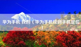 华为手机 找回（华为手机找回手机定位）