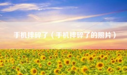 手机摔碎了（手机摔碎了的照片）