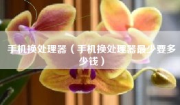 手机换处理器（手机换处理器最少要多少钱）
