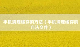 手机清理缓存的方法（手机清理缓存的方法文件）
