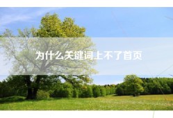 为什么关键词上不了首页