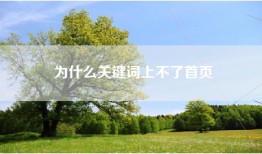为什么关键词上不了首页