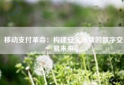 移动支付革命：构建安全高效的数字交易未来