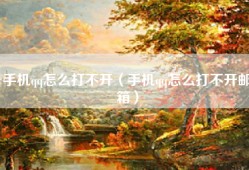 手机qq怎么打不开（手机qq怎么打不开邮箱）