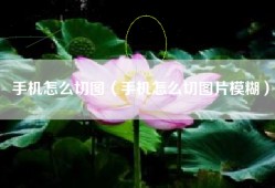 手机怎么切图（手机怎么切图片模糊）