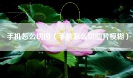 手机怎么切图（手机怎么切图片模糊）