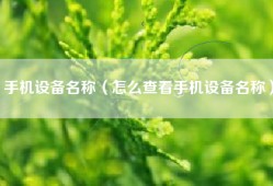 手机设备名称（怎么查看手机设备名称）