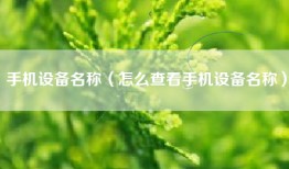 手机设备名称（怎么查看手机设备名称）