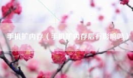 手机扩内存（手机扩内存后有影响吗）