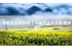 手机怎么玩街机（手机怎么玩街机模拟器）
