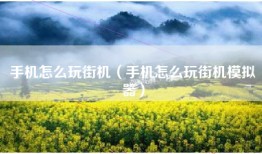 手机怎么玩街机（手机怎么玩街机模拟器）