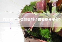 百度推广中关键词的价格究竟是多少？