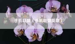 手机联盟（手机联盟英雄）